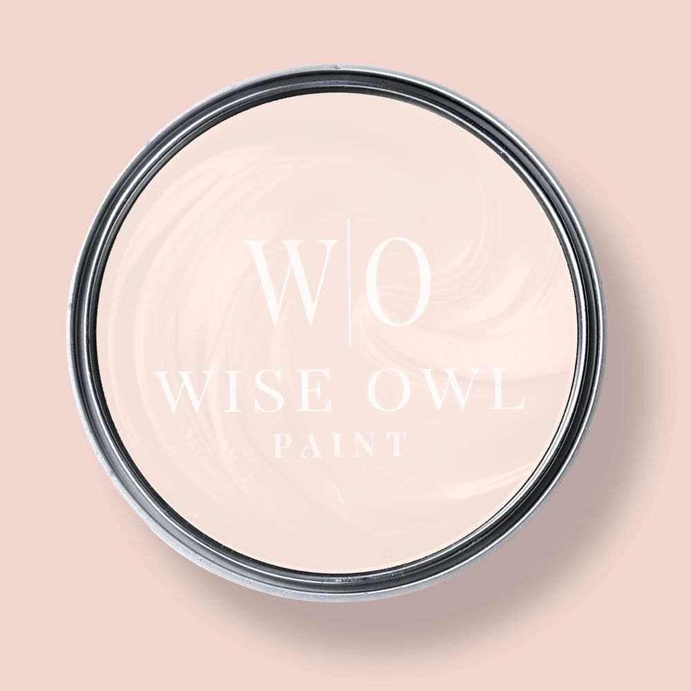Daydream - Wise Owl Enamel