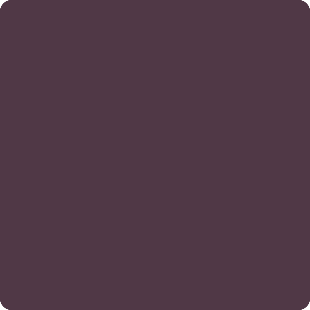 Black Cherry - Wise Owl Chalk Synthesis Paint