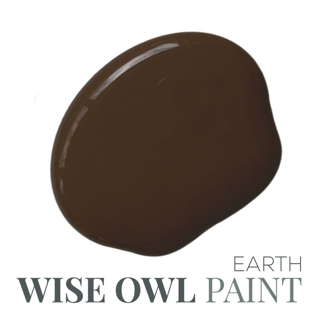 Earth - Wise Owl Chalk Synthesis Paint 8oz