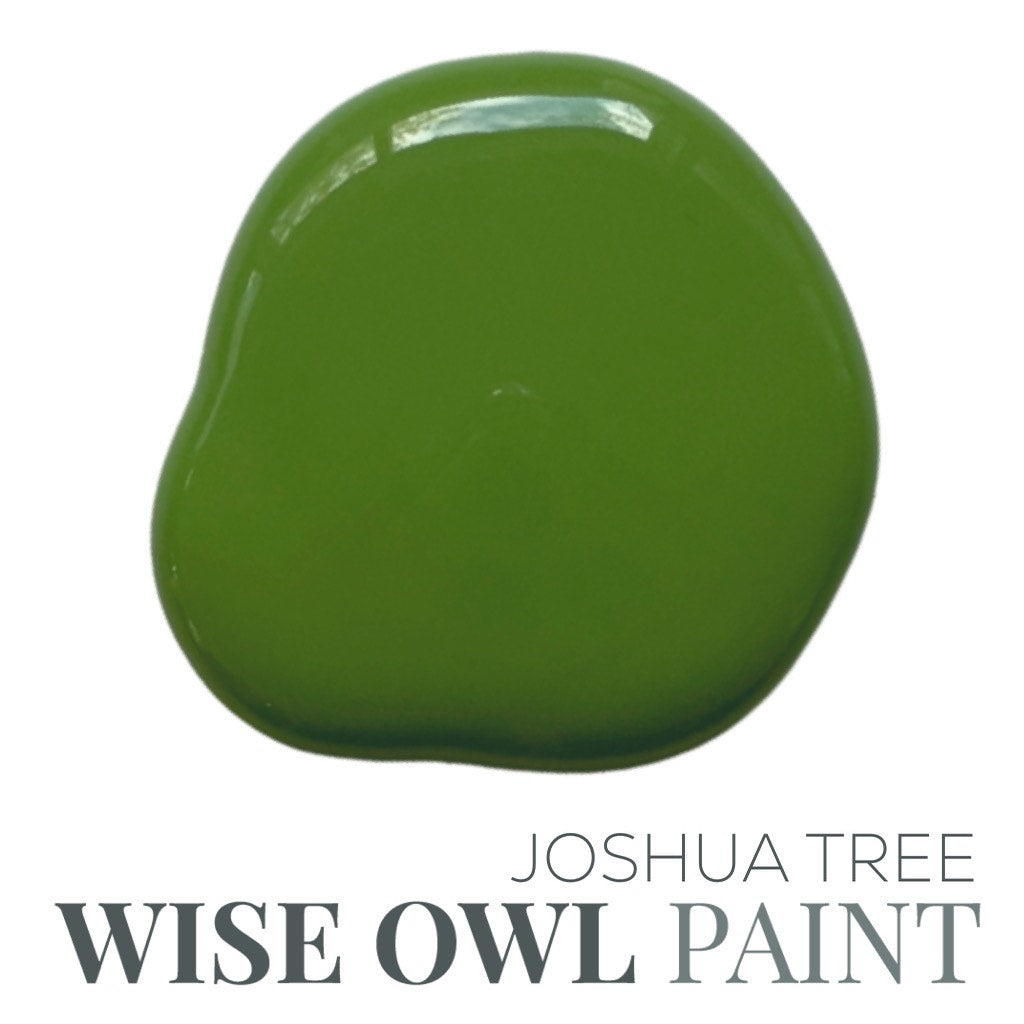 Joshua Tree - Wise Owl Chalk Synthesis Paint 8oz