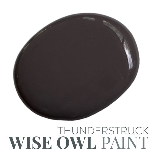 Thunderstruck - Wise Owl Chalk Synthesis Paint 8oz